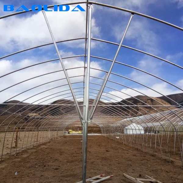 Quality Stable Structure Polyethylene Film Greenhouse / Vegetable Tomato Plant for sale