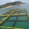 China PE Bracket Square Floating Fish Cage Excellent Flexibility Hygienic Safety factory