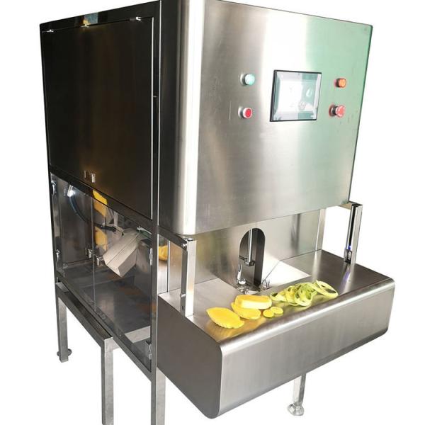 Quality 400 KG Fruit Vegetable Processing Machine Pineapple Peeling Machine for sale