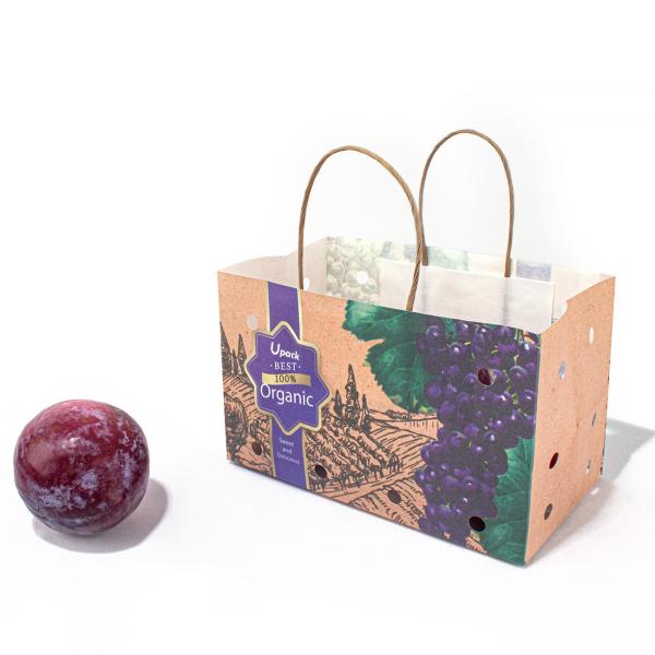 Quality Logo Printed Kraft Food Paper Bag , Paper Twist Handle Bags For Fruit for sale