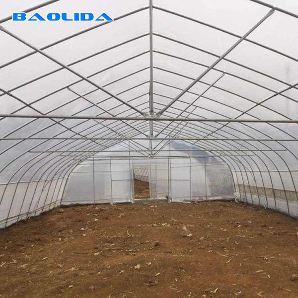 Quality Stable Structure Polyethylene Film Greenhouse / Vegetable Tomato Plant for sale