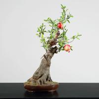 China Height 65cm Artificial Potted Floor Plants Pomegranate Tree Corner Table Decoration factory