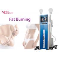 China Electric Emslim Fat Burning Muscle Build EMS EMShapeing Machine factory