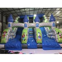 Quality Disney Cartoons Commercial Inflatable Water Slides Fun Castle Mickey Painting for sale