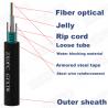 China Zhaoxian Outdoor Armoured GYXTW Fiber Optic Cable 12 Core Single Mode factory