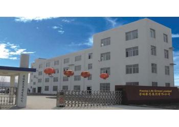 China Factory - Precise life group limited