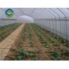 China Anti Wind Agriculture Plastic Film Greenhouse Single Span / Multi Span Tunnel factory