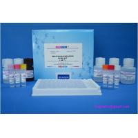 Quality Plasmid Detection Kanamycin Fine Test Elisa Kit high repetitive for sale