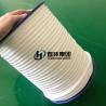 China Chemical Stable Fibrotic Pure 4x16mm Expanded PTFE Rope factory