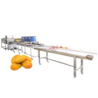 Quality Hot selling China Factory Seller Fruit Vegetable Washer Machine by Huafood for sale