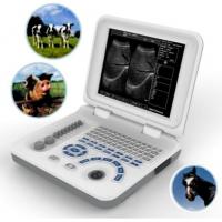 Quality Veterinary Ultrasound Scanner for sale
