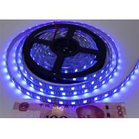 China UV C LED Strip 5050 LED Strip Lights with 245nm, 365nm UVC LED Germicidal Disinfection Strip Light factory