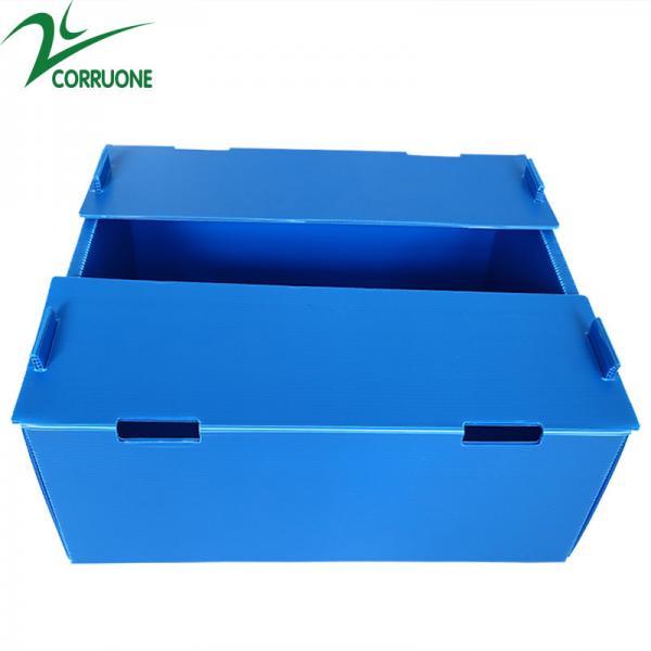 Quality Wholesale Reusable Stackable Pp Hollow Corrugated Plastic Corflute Packaging for sale