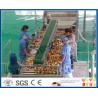 China Peach / Apricot / Plum Fruit Juice Production Line Fruit Processing Machinery factory