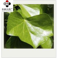 China 10:1 TLC Ivy Leaf Extract Cosmetic Grade With Promoting Blood Circulation factory