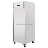 China Stainless Steel Kitchen Freezers Refrigerator Frozen One Door Upright Freezer Air Cooled factory