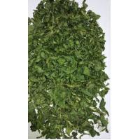 China AD Dehydrated Parsley Leaf 2018 New Crop with ISO, HACCP, FDA certificates factory