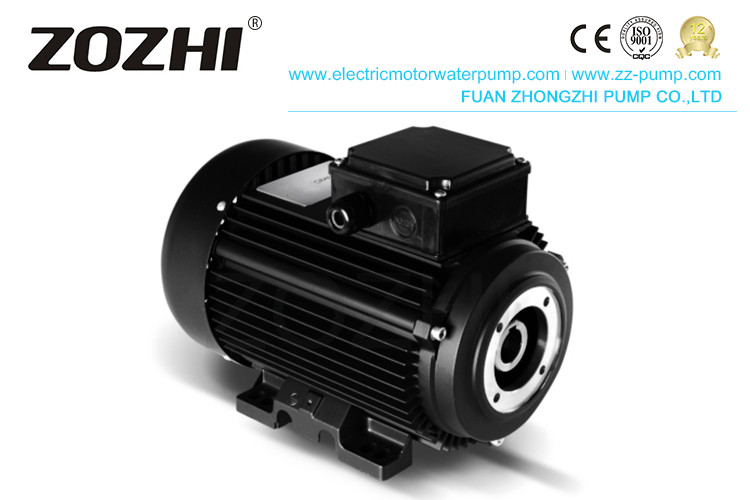 China HS 112M3-4 6.2KW 8.5hp Hollow Shaft Motor Direct Pump Mounting For Industrial Cleaning factory