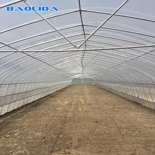 Quality Tomato Growing Naturally Ventilated Greenhouse Plastic Film Greenhouse for sale