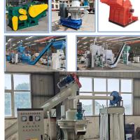 China 1TPH-10TPH Biomass Wood Chip Pellet Machine Eucalyptus Birch Pellet Production Line factory