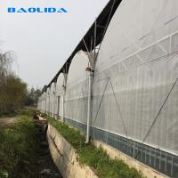 China Commercial Poly Tunnel Greenhouse Automated Agriculture Multi Span Greenhouse factory