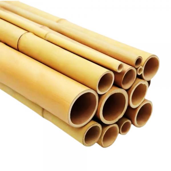 Quality Raw Bamboo Pole 100% Natural for Gardening Construction and Decoration Top for sale