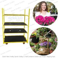 China Danish Flowers And Plants Display Plywood Trolley High End Plastic Strong Durable factory