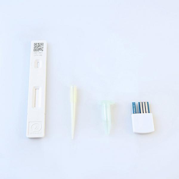 Quality Veterinarian Pet Rapid Test&Equipment Dog Cat Inflammation Home Test Ccv Cdv for sale