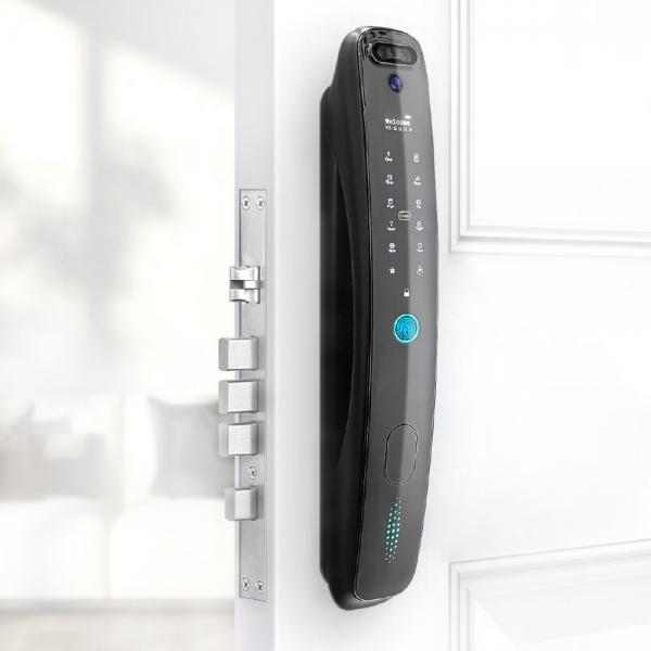 Quality Face And Palm Recognition Biometric Fingerprint Door Lock High Level With Anti for sale