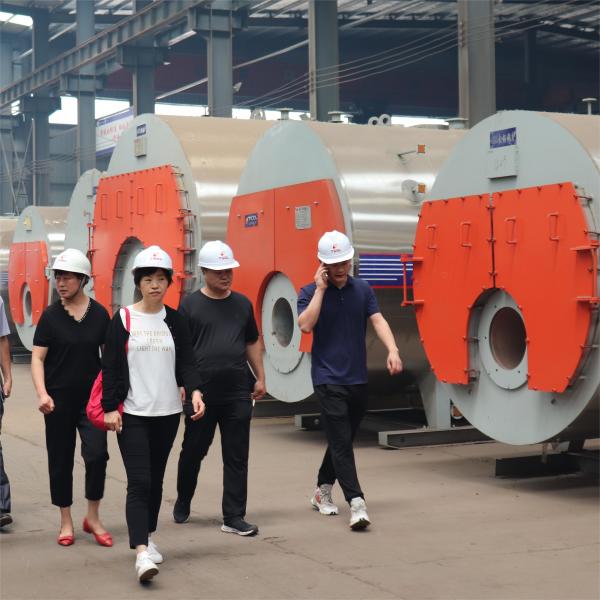 Quality Industrial Chain Grate Biomass Steam Boiler 1-20t/H Horizontal Structure for sale