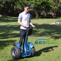 China SGS Two Wheel Electric Vehicle Self Balanced Ecorider Hover Board Skate Board factory