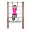 China outdoor exercise equipments WPC materials based wall bars gymnastic bars for sale factory