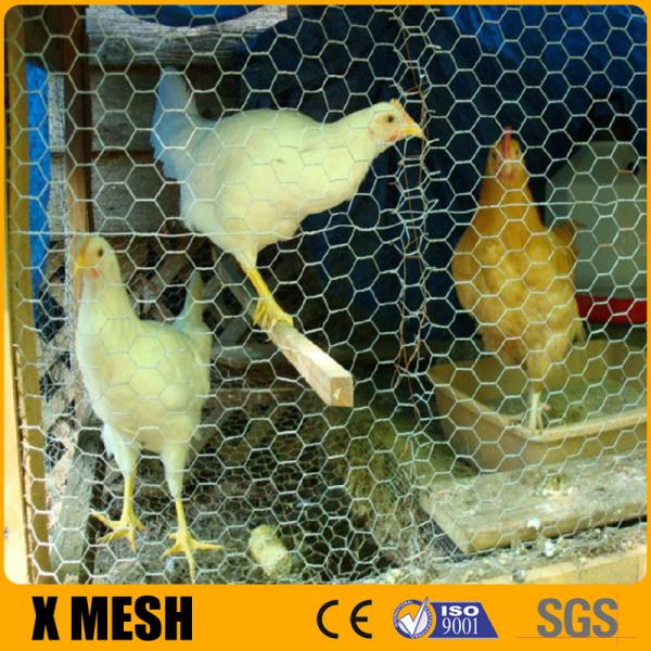 Quality Hexagonal Chicken Hex Wire Mesh Nettting Galvanized Weave Mesh 0.3mm for sale