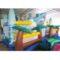 China Giant Inflatable dolphin New Ocean undersea world Fun city Inflatable ocean playground park factory