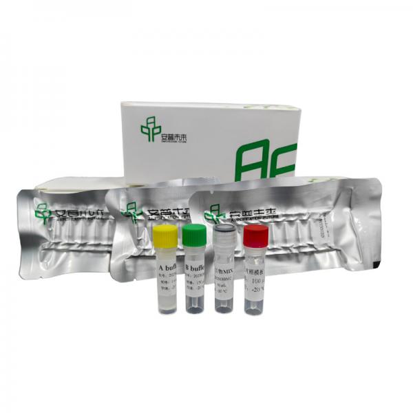 Quality High Performance RNA Isothermal PCR Kit For Accurate Quantification for sale
