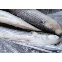 China 1000g 1500g Seafood BQF Freezing Grey Mullet Fish factory