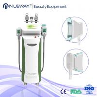 China Cryolipolysi/ cryolipolysis fat freeze slimming machine beijing nubway s&t co. ltd factory