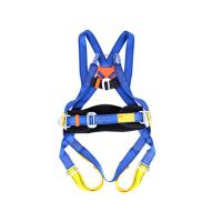China Area Work Full Harness Safety Belt Blue Color Lightweight One Size Fits All factory