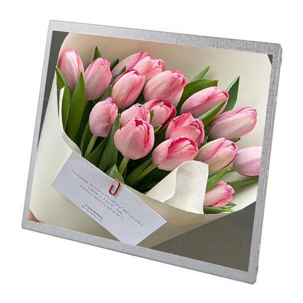 Quality 30 Pin 19 Inch Small Lcd Panel Advertising Display Sunlight Readable Lcd Module for sale