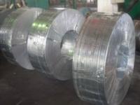 China Grade 50, 490, SGC, Q195, SGCC, SGCD spangle Hot Dipped Galvanized Steel Strip / Strips factory