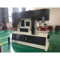 China Q35y-12 Hydraulic Metal Punch And Shear Machine Cropping factory