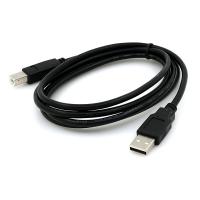 China Monitor Printer Male To Male 10FT USB Data Transfer Cable factory