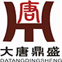 China Shenzhen Datang Dingsheng Technology Co., Ltd. logo