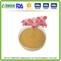 china Feed supplement alkaline protease feed enzyme