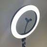 China Live Stream 9W 8 Inch Selfie Ring Light factory