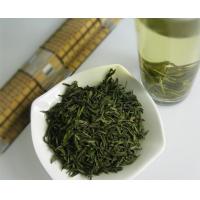 China Anti Fatigue Chinese Green Tea Fresh Natural Tea Leaf factory