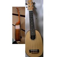 China 21&quot;  concert Ukulele spruce top solidwood hawaii guitar high quality AGUL26 factory