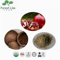 China Ellagic Acid / Gallogen 40 % - 90 % Pomegranate Peel Extract factory
