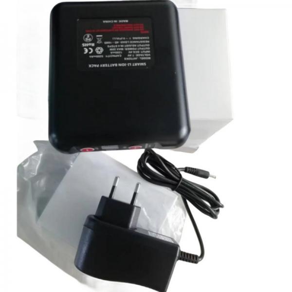 Quality 7.4V 5200mAh Heated Clothes Battery Charger EU Plug Four Level Temperature for sale