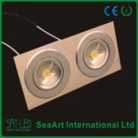 China Aluminum Alloy 6063 Two Heads 14W LED Ceiling Lamp For Commercial Lighting factory